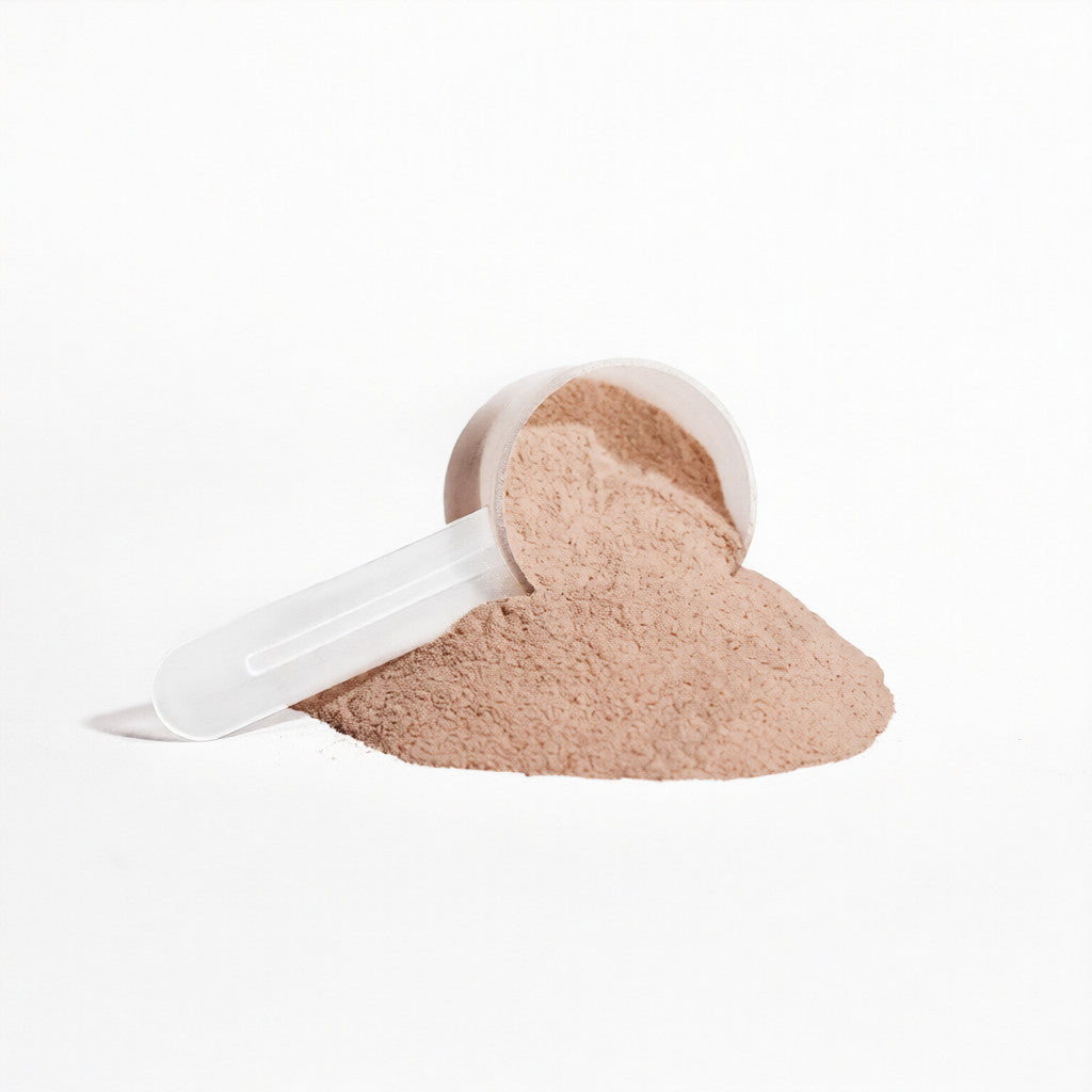 Plant Protein (Chocolate) 850g
